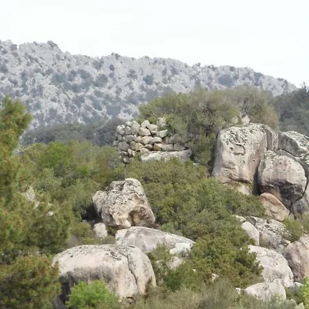 Biriculi Hébergement de vacances *