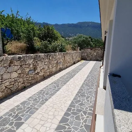 Biriculi בית נופש *