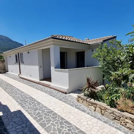 Biriculi